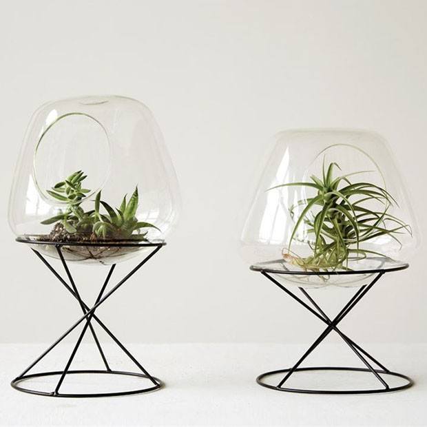 How To Set Up Garden Under Glass