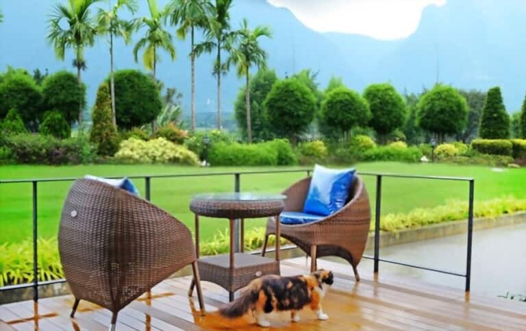 Benefits Of Outdoor Furniture