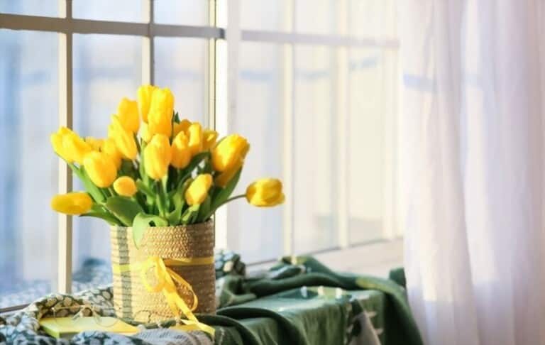 How To Grow Flowers Indoors