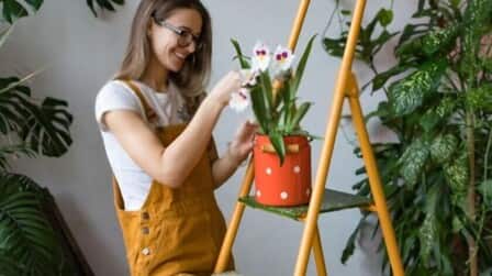 How To Grow Flowers Indoors