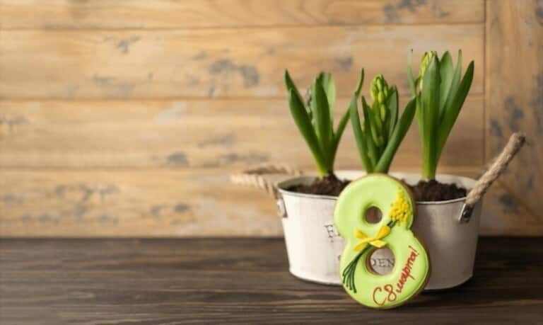 How To Grow Flowers In Pots