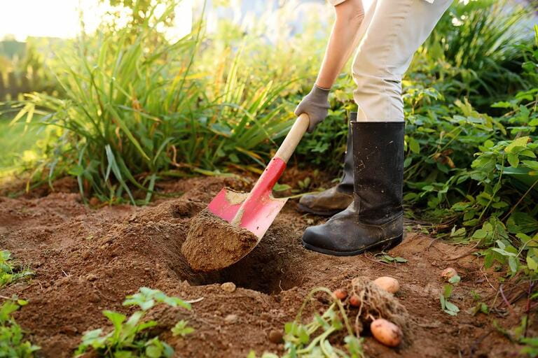 How To Use Shovel