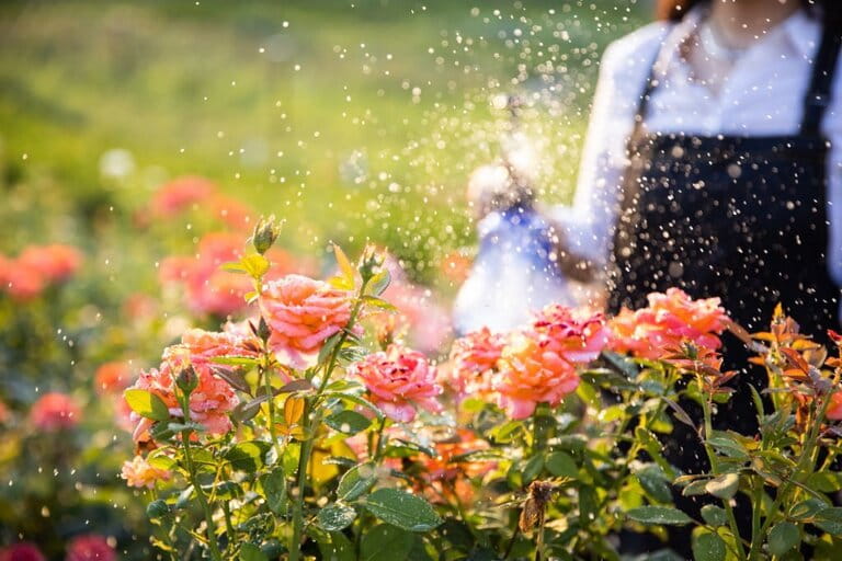 How To Setup Sprinkler System