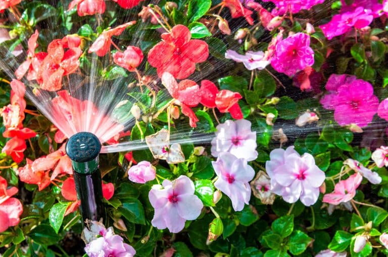 How To Setup Sprinkler System