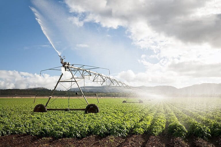 Benefits Of Sprinkler System