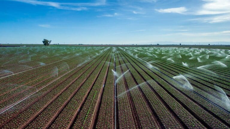 Benefits Of Sprinkler System
