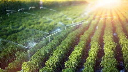 Benefits Of Sprinkler System