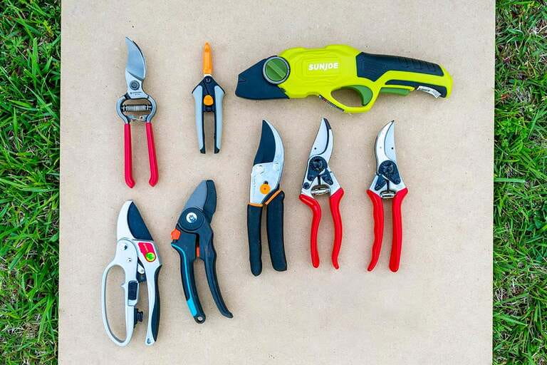 How To Use Pruners