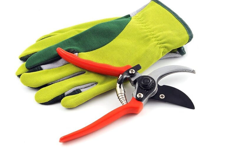 How To Use Pruners