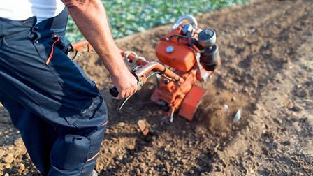 8 Best Tillers For Small Garden of 2026