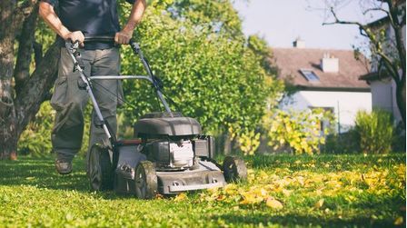 Best Lawn Mower for Mulching Leaves of 2026: Top 6 Picks