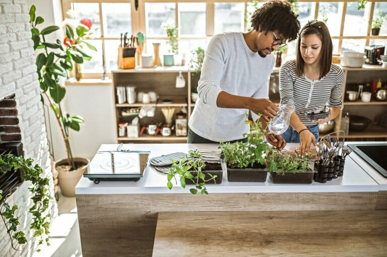 How To Grow Herbs In Kitchen