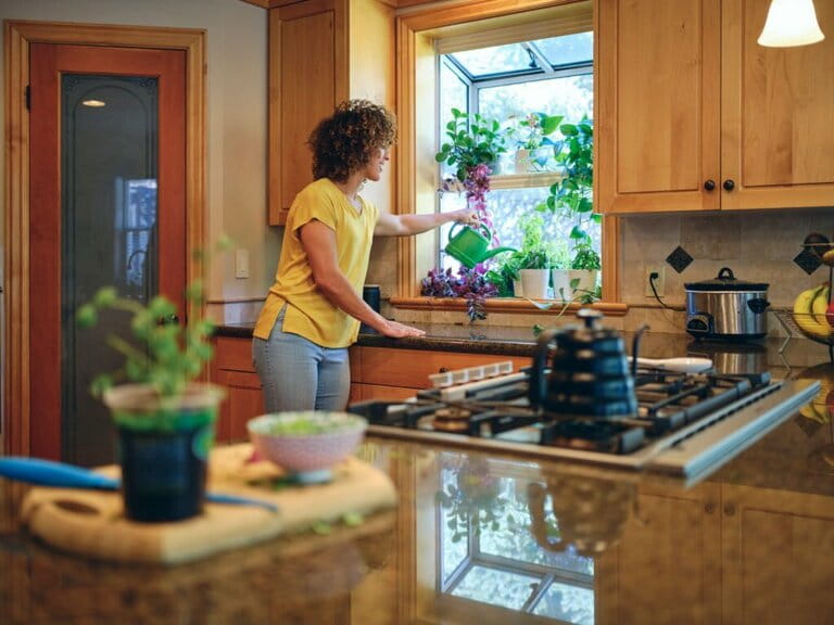 How To Grow Herbs In Kitchen