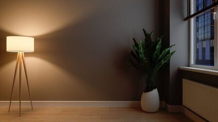 6 Best Lamp Shades for Living Room of 2026