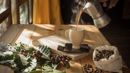 How To Choose Percolator For Coffee