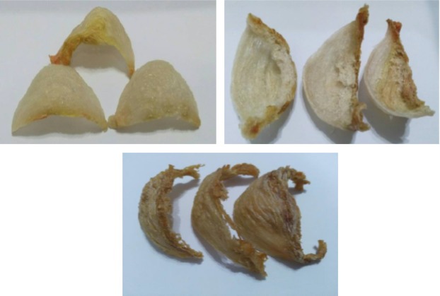 How To Choose Bird Nest