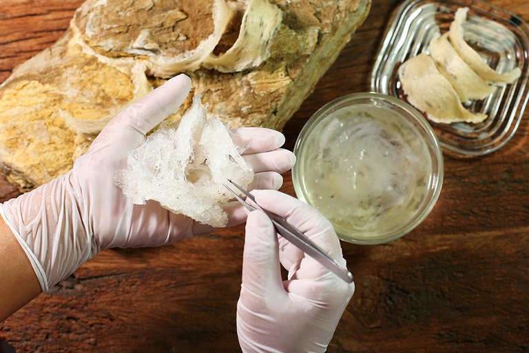 How To Choose Bird Nest
