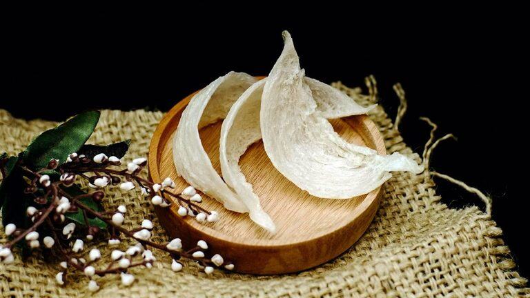How To Choose Bird Nest How To Choose Bird Nest