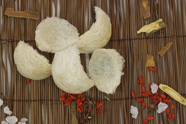 How To Choose Bird Nest How To Choose Bird Nest