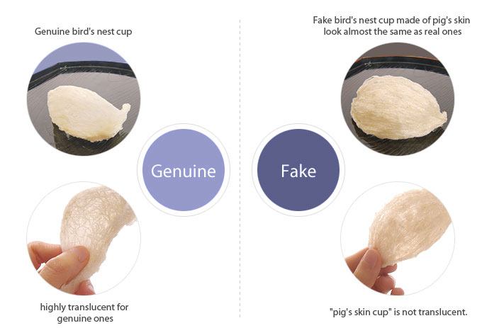 How To Choose Bird Nest