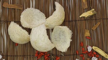 How To Choose Bird Nest