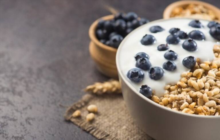 Benefits of Yogurt Makers