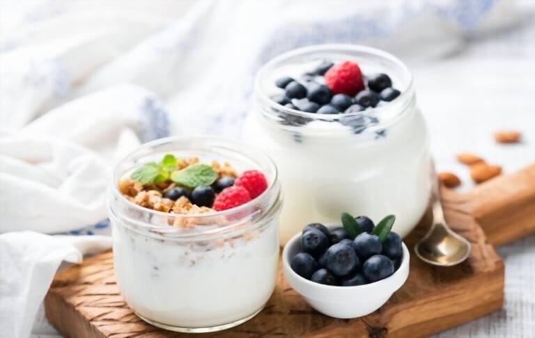 Benefits of Yogurt Makers