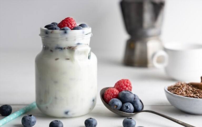 Benefits of Yogurt Makers