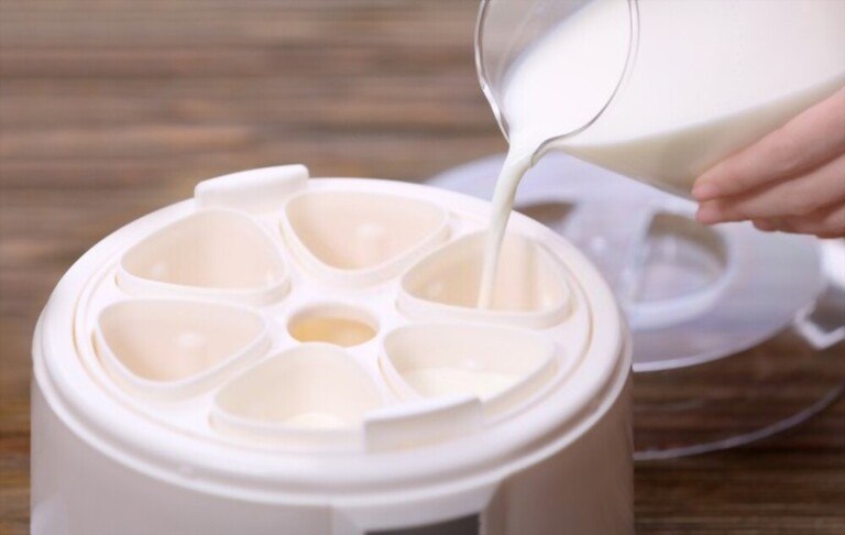 How to Choose Yogurt Maker