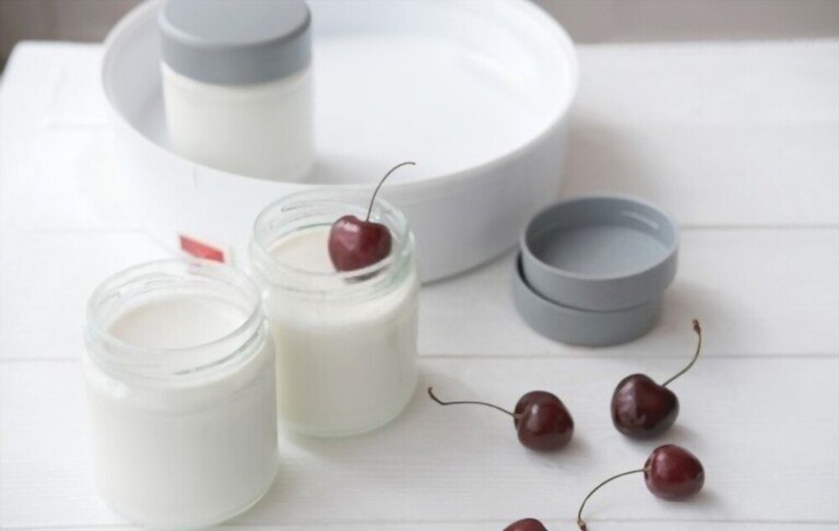 How to Choose Yogurt Maker