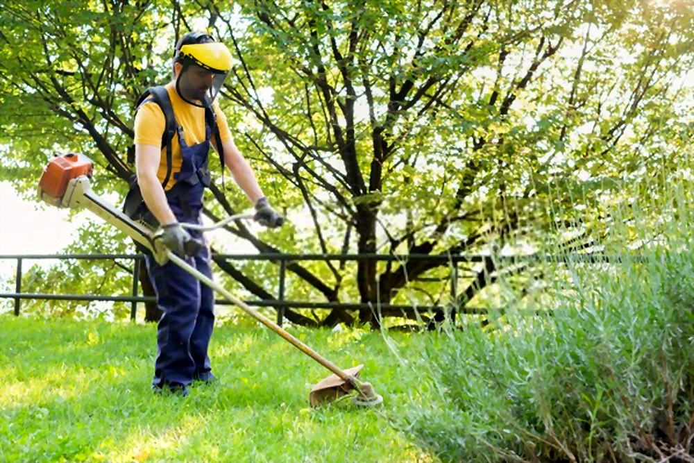 12 Essential Gardening Tools For Every Gardener