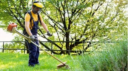 6 Best Lightweight Weed Eaters of 2026