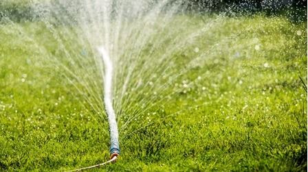 5 Best Sprinkler Hoses of 2026