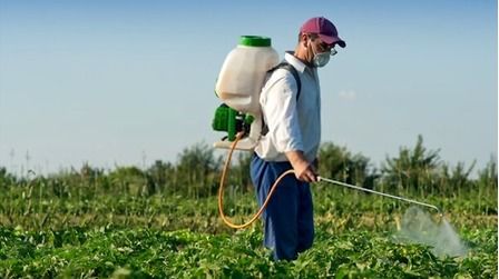 7 Best Battery Powered Backpack Sprayers of 2026