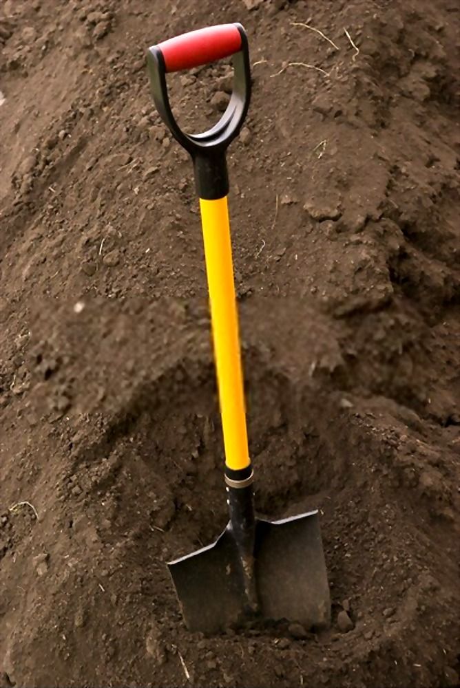 12 Essential Gardening Tools For Every Gardener 12 Essential Gardening Tools For Every Gardener