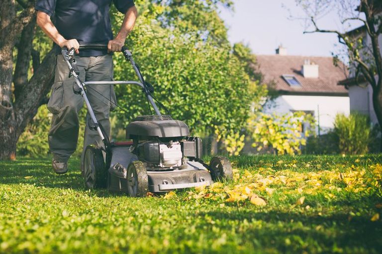 12 Essential Gardening Tools For Every Gardener