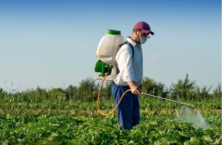 12 Essential Gardening Tools For Every Gardener