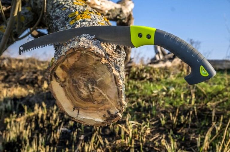 12 Essential Gardening Tools For Every Gardener