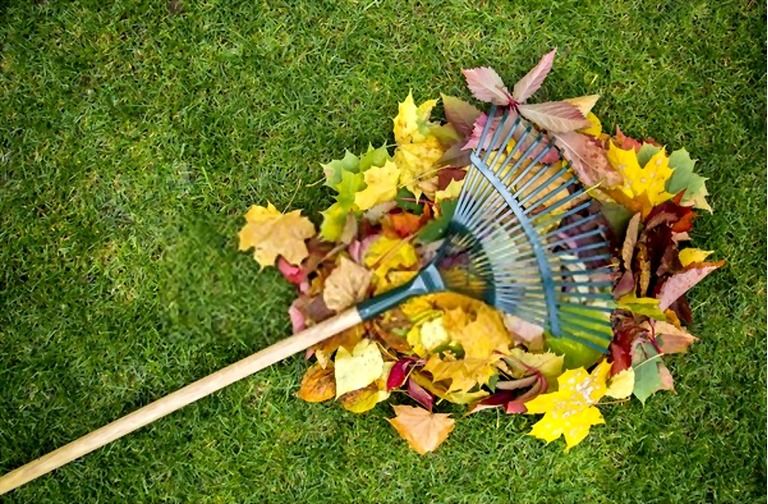 12 Essential Gardening Tools For Every Gardener