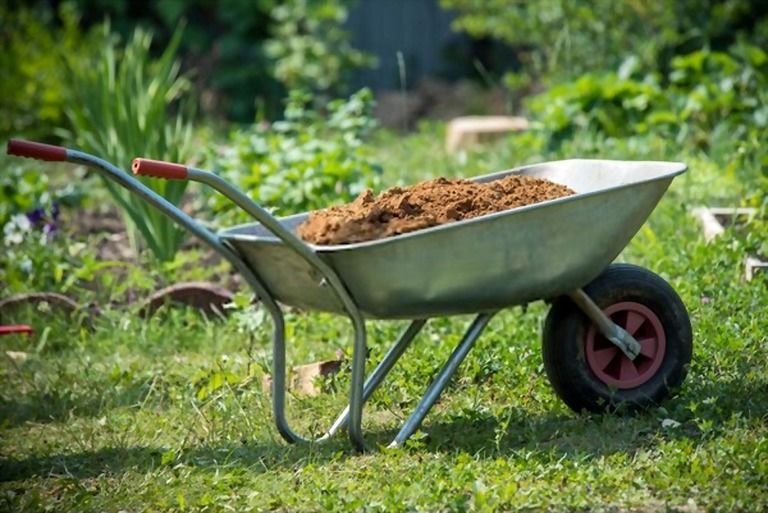 12 Essential Gardening Tools For Every Gardener
