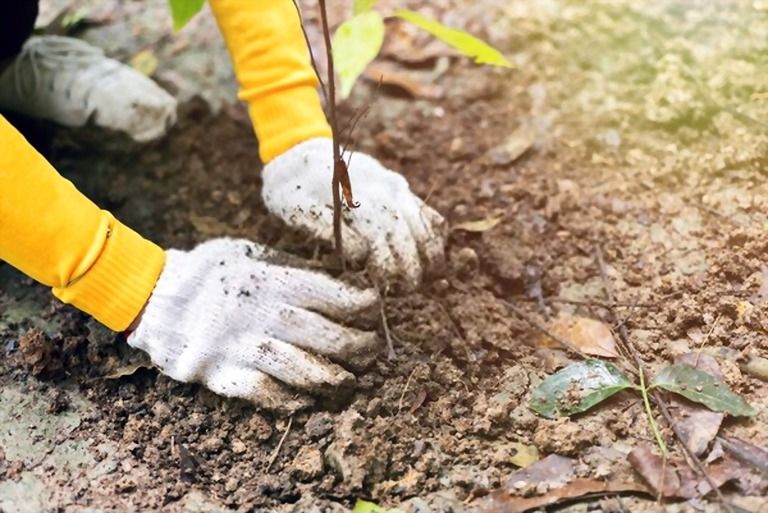 12 Essential Gardening Tools For Every Gardener