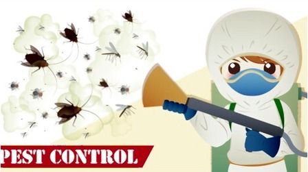 6 Best Pest Control Sprayers of 2026