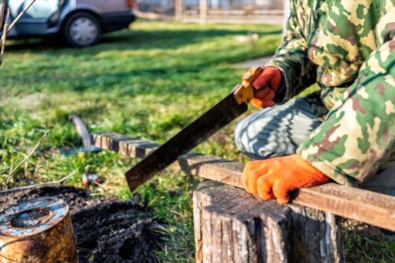 How To Build Raised Garden Beds