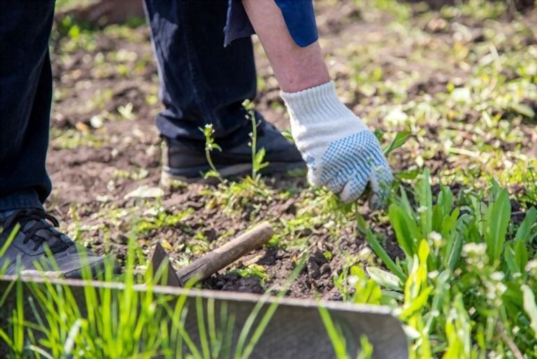 How To Build Raised Garden Beds