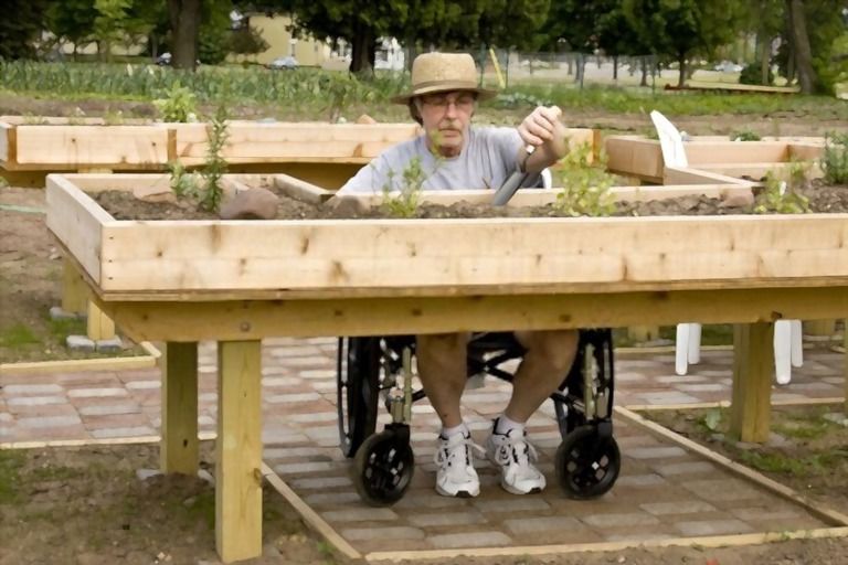 How To Build Raised Garden Beds