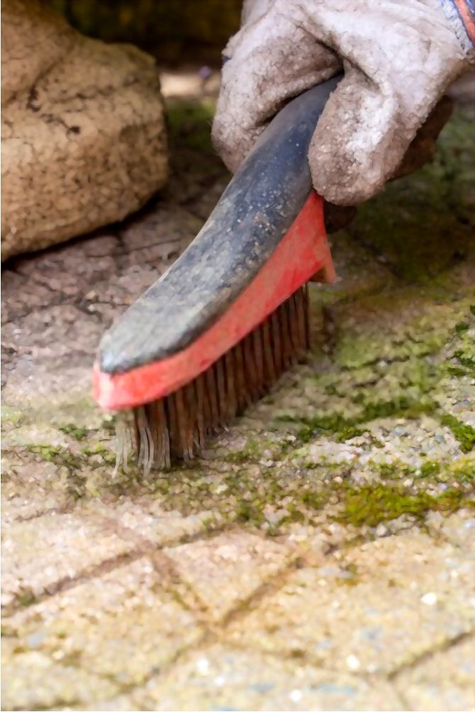 How To Remove Moss From Concrete?