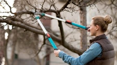 6 Best Telescopic Loppers of 2026
