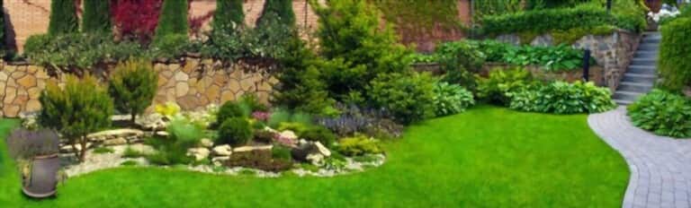 How To Grow Grass Fast And Cheap