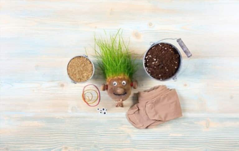 How To Grow Grass At Home