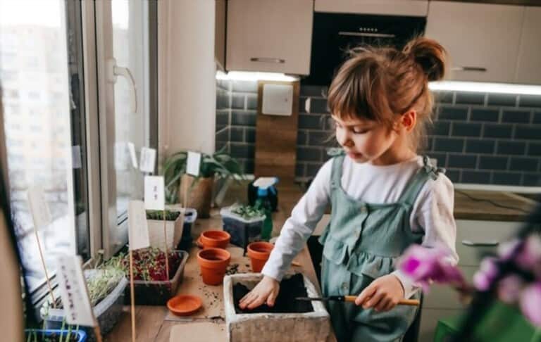 How To Grow Grass At Home